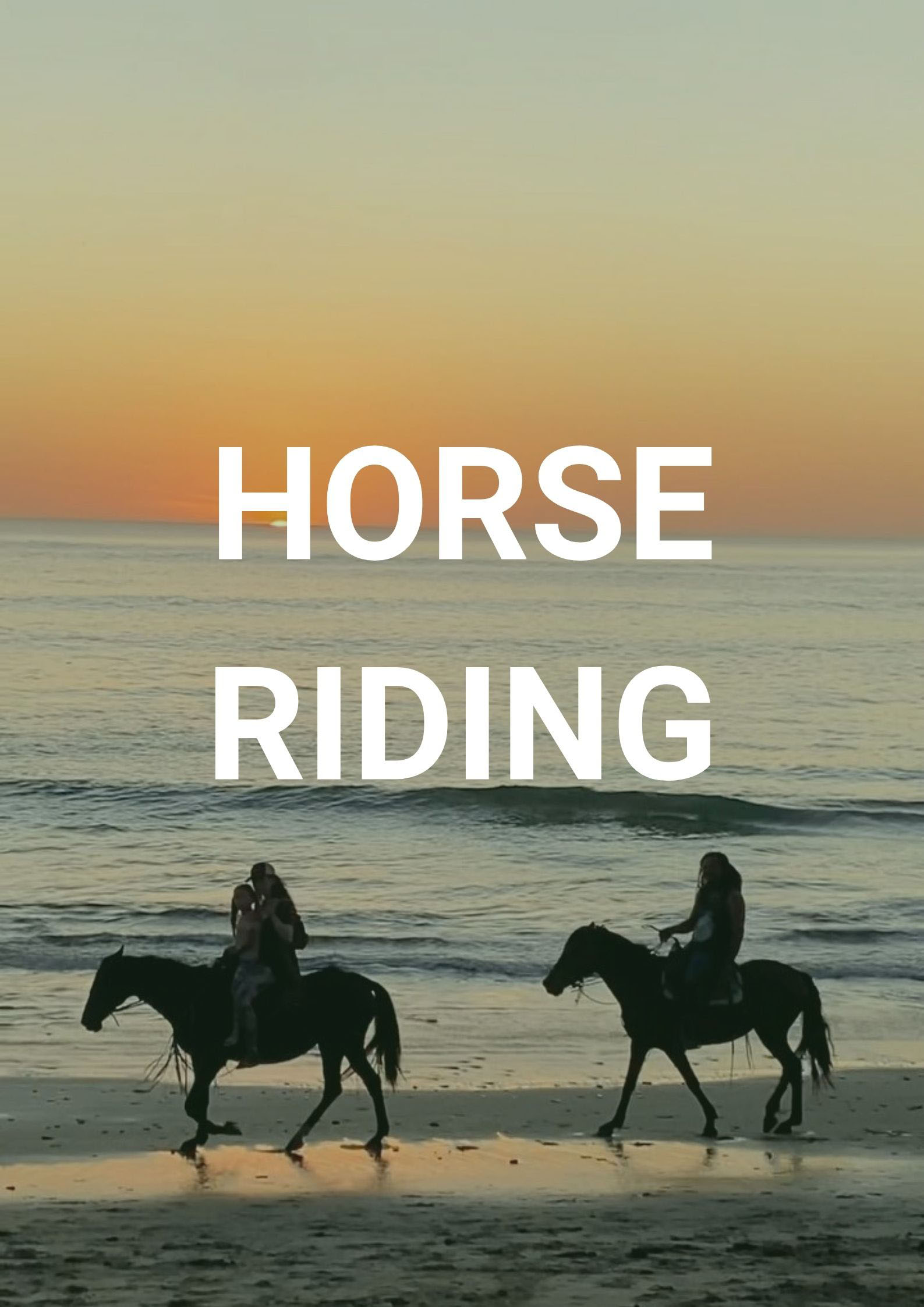 camping luna horse riding homepage