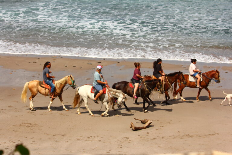 Camping Luna Horse Riding